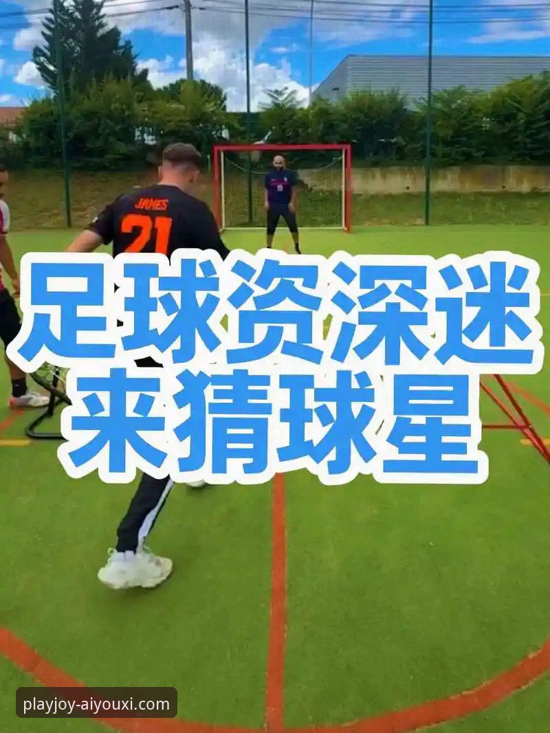 爱游戏信誉如何教程 资深用户亲历:世界杯排名震荡背后的数据解读与观赛心得