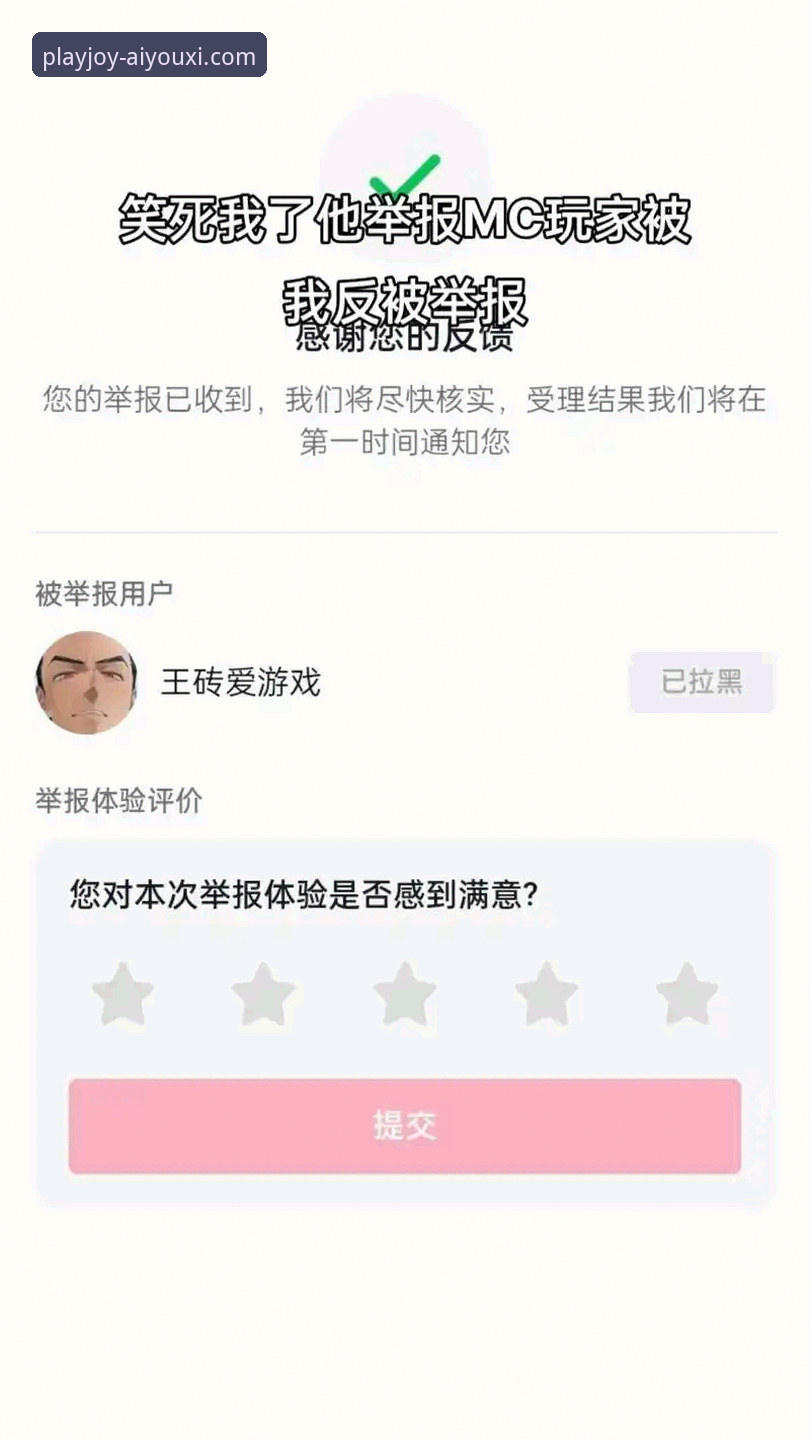 爱游戏娱乐平台综合体验深度解析：一站式服务与用户反馈详析